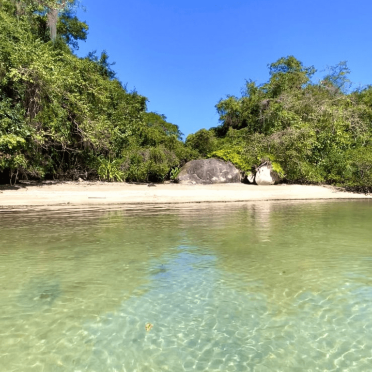 roteiro saco do mamanguá paraty rj (2)