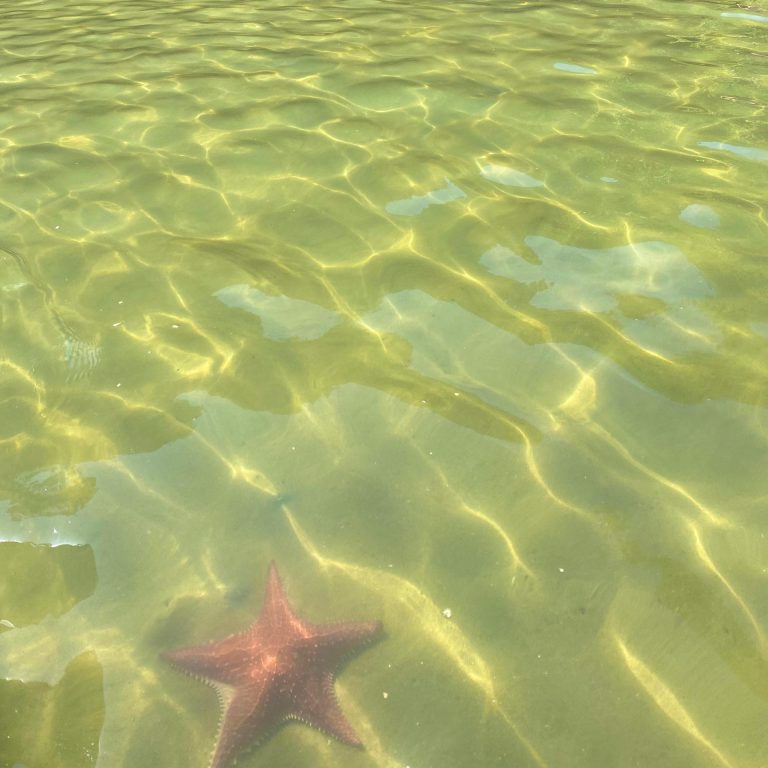 WhatsApp Image 2024-06-14 at 23.30.00 (1)