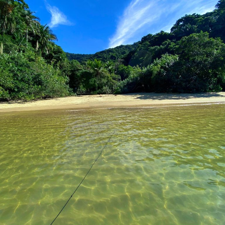 WhatsApp Image 2024-06-14 at 23.30.00