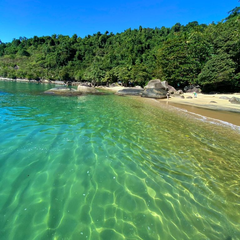 WhatsApp Image 2024-06-18 at 12.07.56