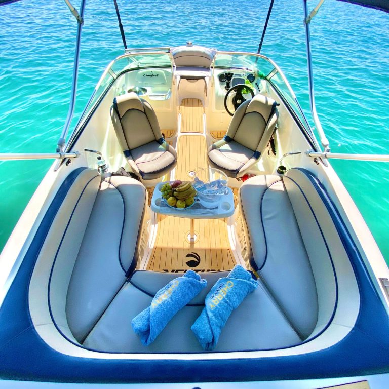 WhatsApp Image 2025-04-08 at 23.23.46