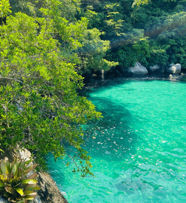 Passeio de lancha privativa ilha dos Cocos Paraty RJ