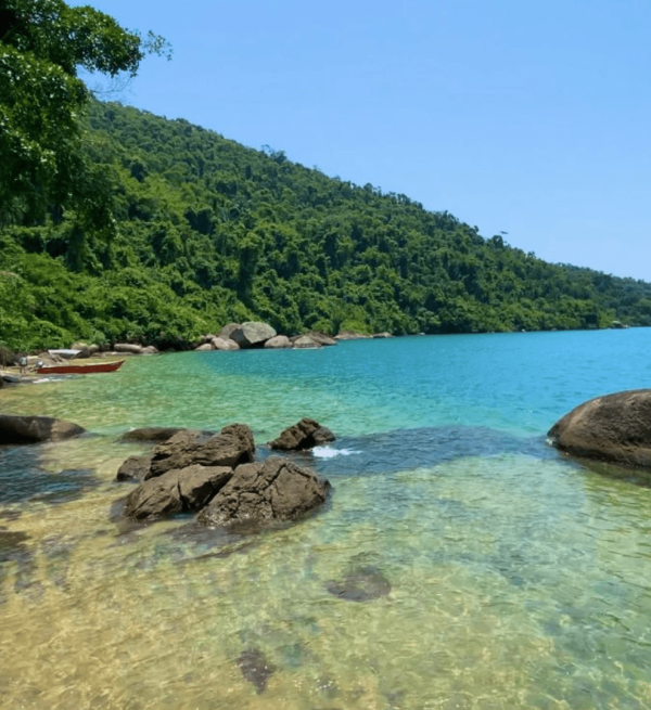 Praia saco da velha Paraty passeio privativo de lancha